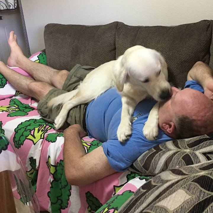 C78f1a63 68a7 4a3d 857c a547c7f7275a