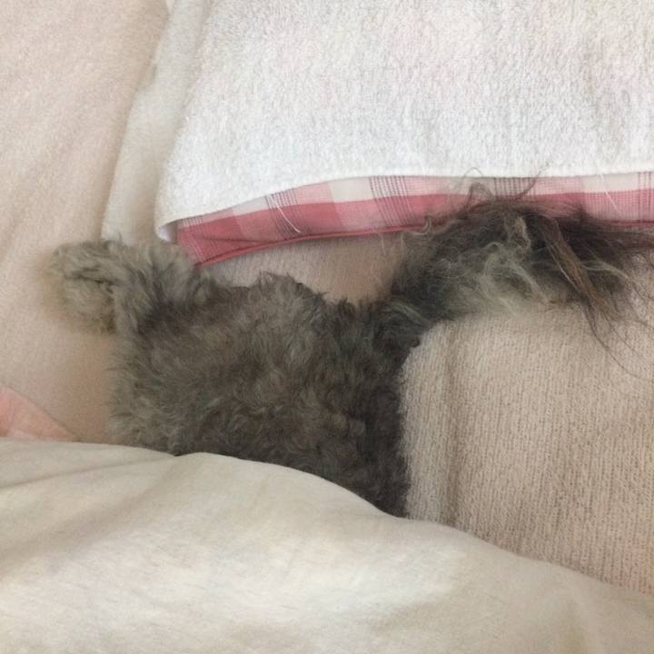 C78f250d 58c6 4956 8dca e87832d28513