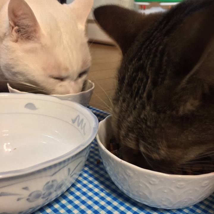 C78f3fc7 d0d3 4ec9 b860 9c7782cdb2e3