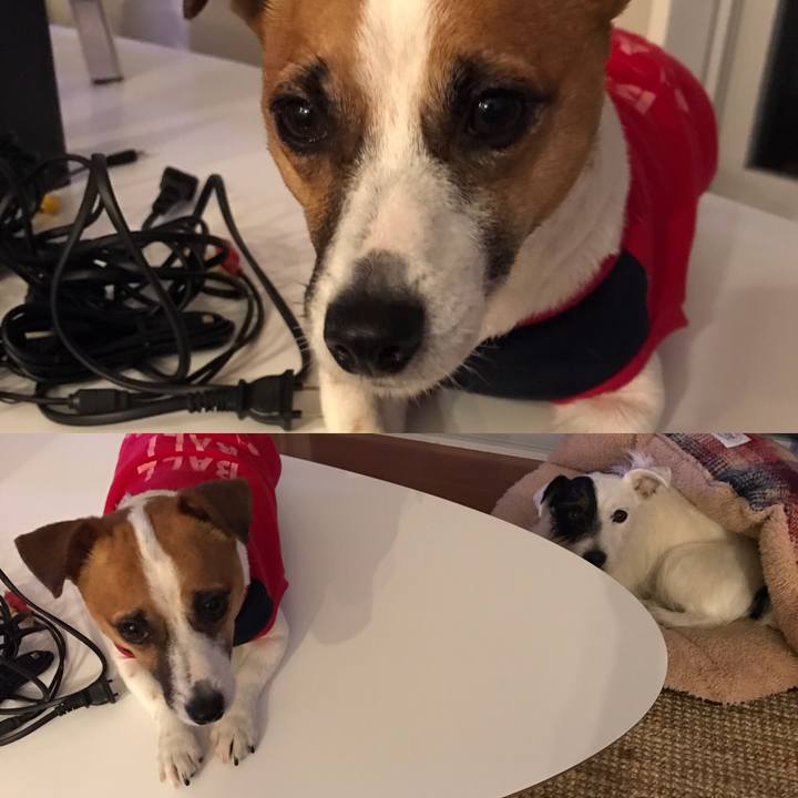 C78f88ee 1945 4ff7 94d1 82be97b98dea