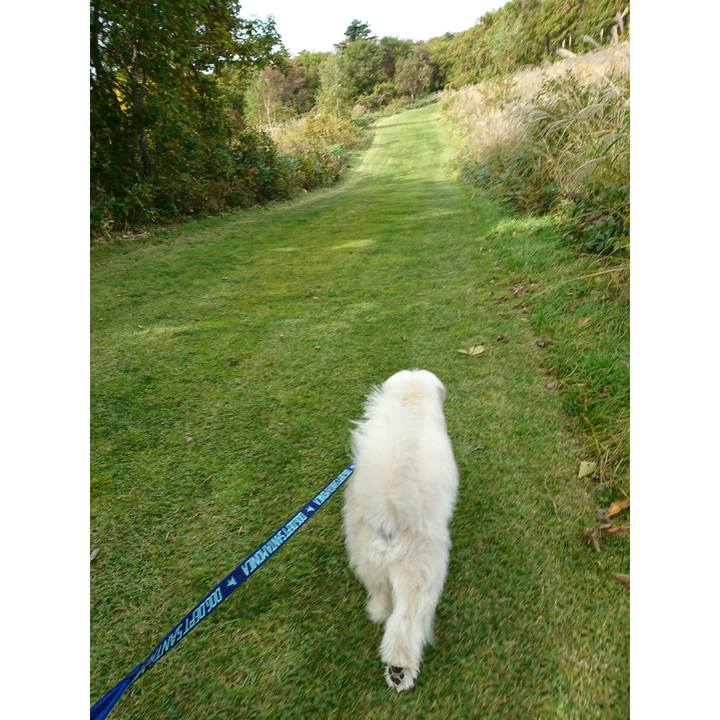 C78ff334 d76a 4ffe b171 025f77e78c81