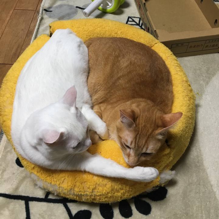 C790ba1c 6d11 40b3 9039 55ae88d4c91a