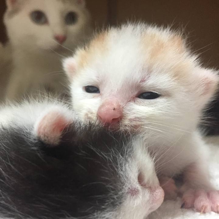 C7911f06 bc04 4079 924c a3cc2f1f009d