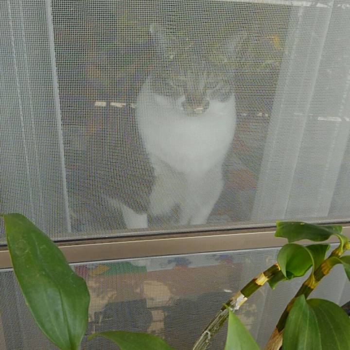 C79134ed a8df 4f35 ae0f c83a0edb7f21