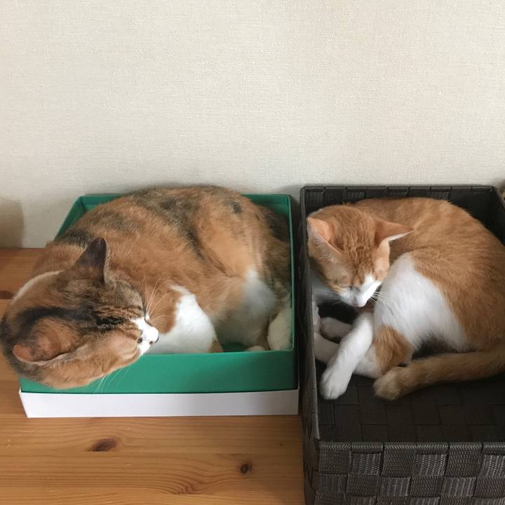 C7914a09 46f2 4832 9c05 a6ee29bed341