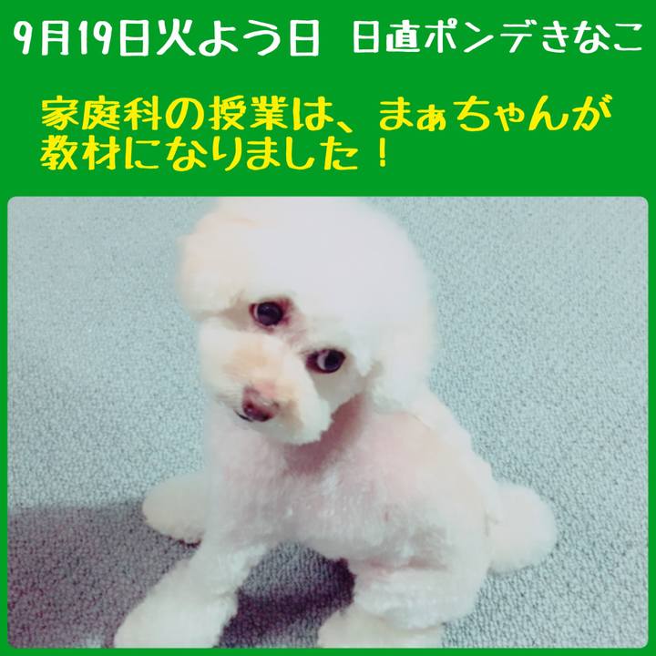 C7914fe3 fb54 469e a37a 8071cd72dab1