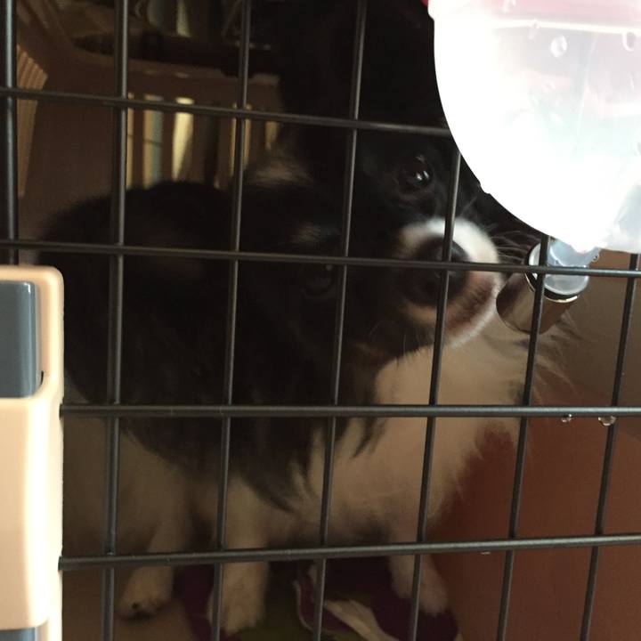 C79217ff ba38 47b2 b040 e663c924f3a7