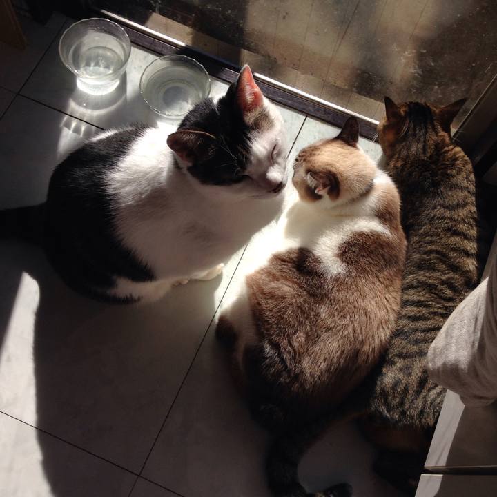 C792e253 cf83 4411 81b8 b92b2d661ba5