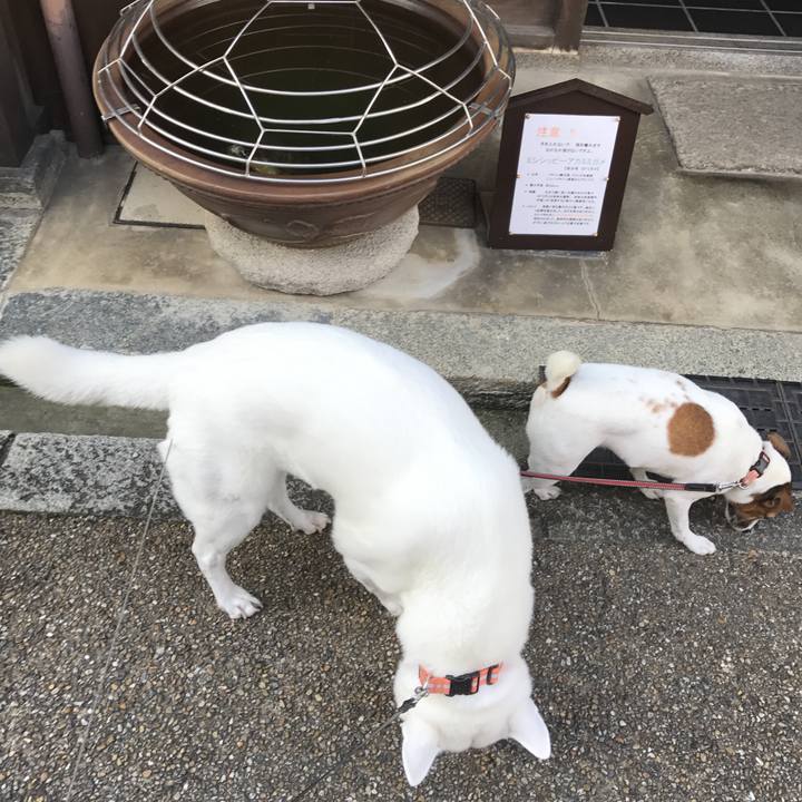 C793a730 59bd 474a aa89 c2097e606eff