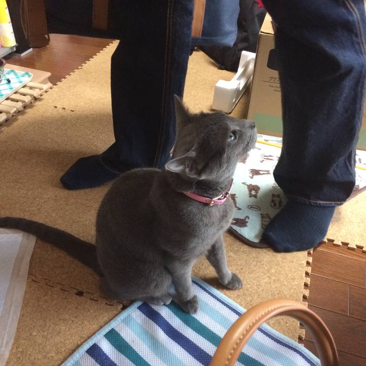 C793cf2f 3b80 4c01 9b1f bb099197333e