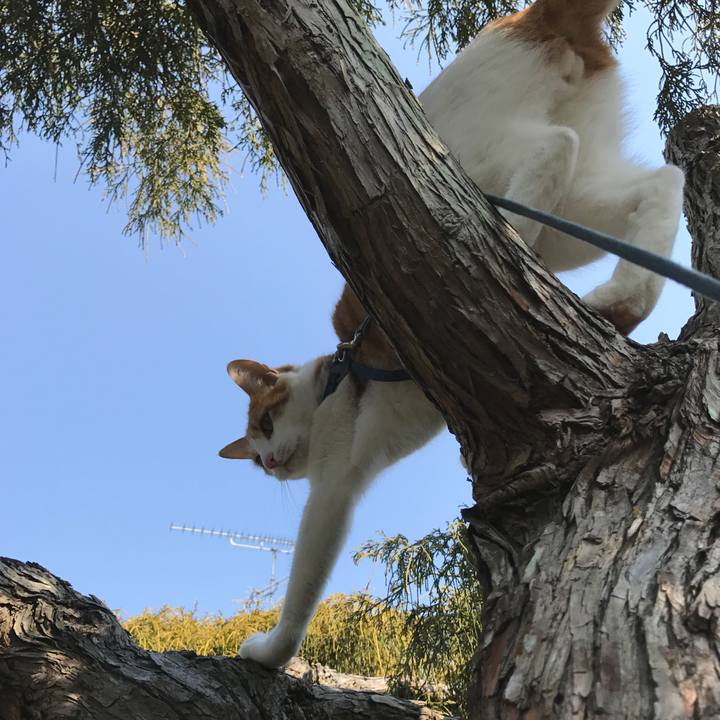 C793db64 48d8 4c49 8615 ec4890757a4c