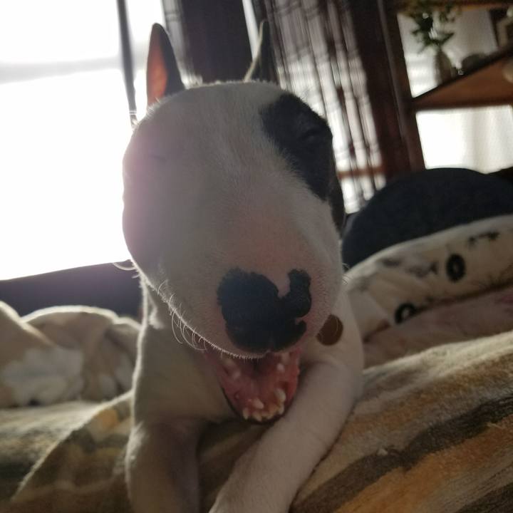 C794079f be6b 458e 8034 21f0435bea49