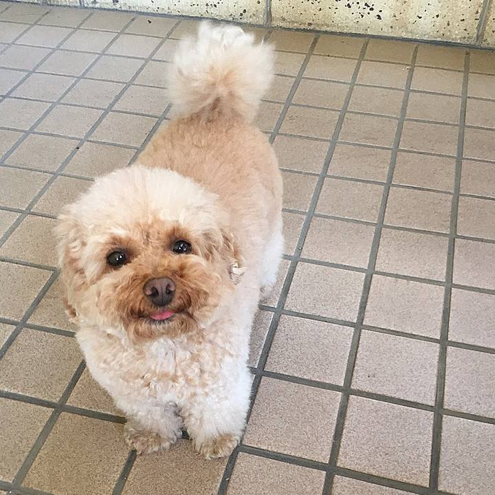 C79451a7 4195 4db1 94f1 0878e89d5b11