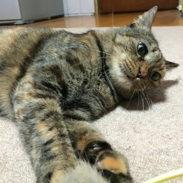 C794536a 9ea2 461f 8a6f ff5358ee0a1b