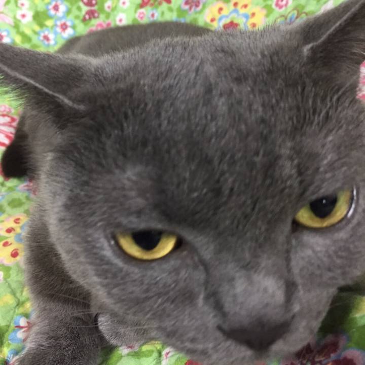 C794595a 1f4e 4524 a0b6 a4bad733b7e1