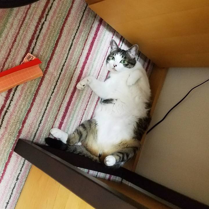 C794928b 9dd0 44d9 8659 7430b05fbf60