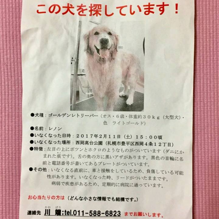 C794c50e db16 4ea8 909b 78ccb244627e