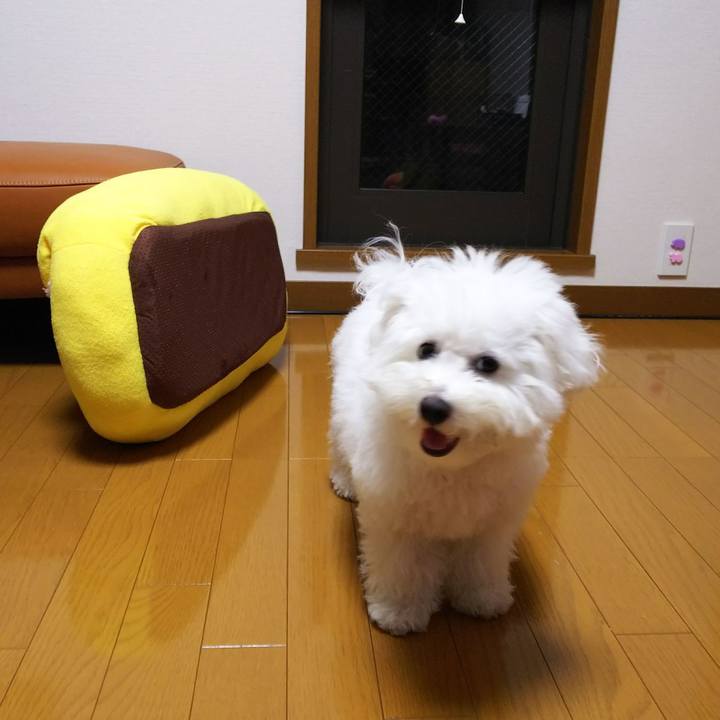 C794fdf1 bee3 456c ab6e 634eab80a484