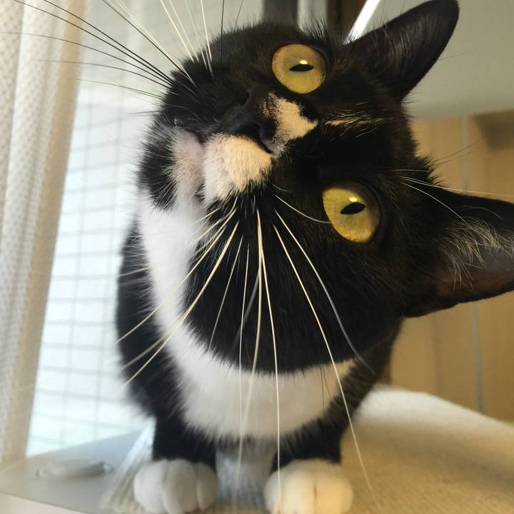 C79611c4 b6df 4fc1 990b 988c9a8d2cf6