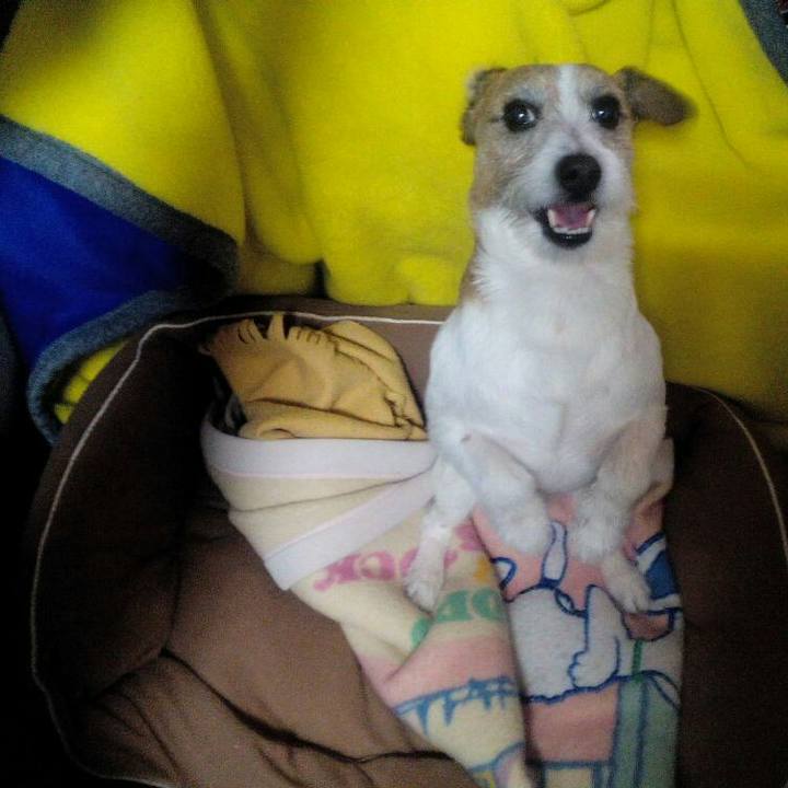 C7969189 d04c 4710 940b c20544f3fb39