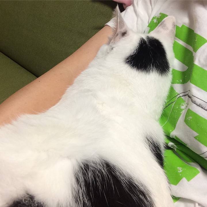 C796ad33 2659 4c4b 8ce0 4eab3dc7c697