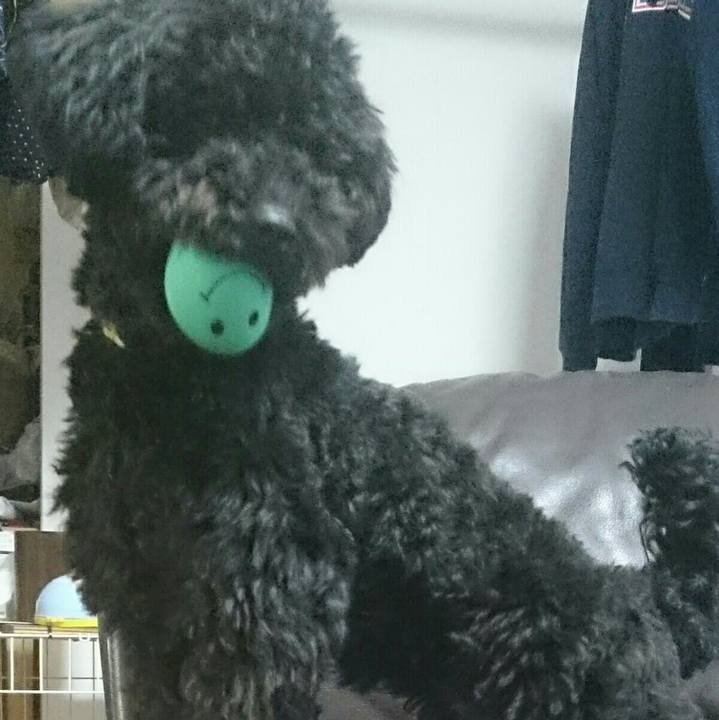 C796d624 fe88 4f59 883d 155a1f40ae6f