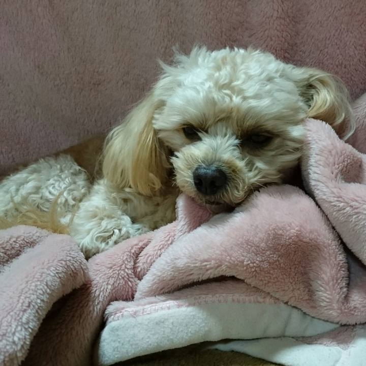 C7984749 51c5 48b3 bfff 009fa7fd6ac7