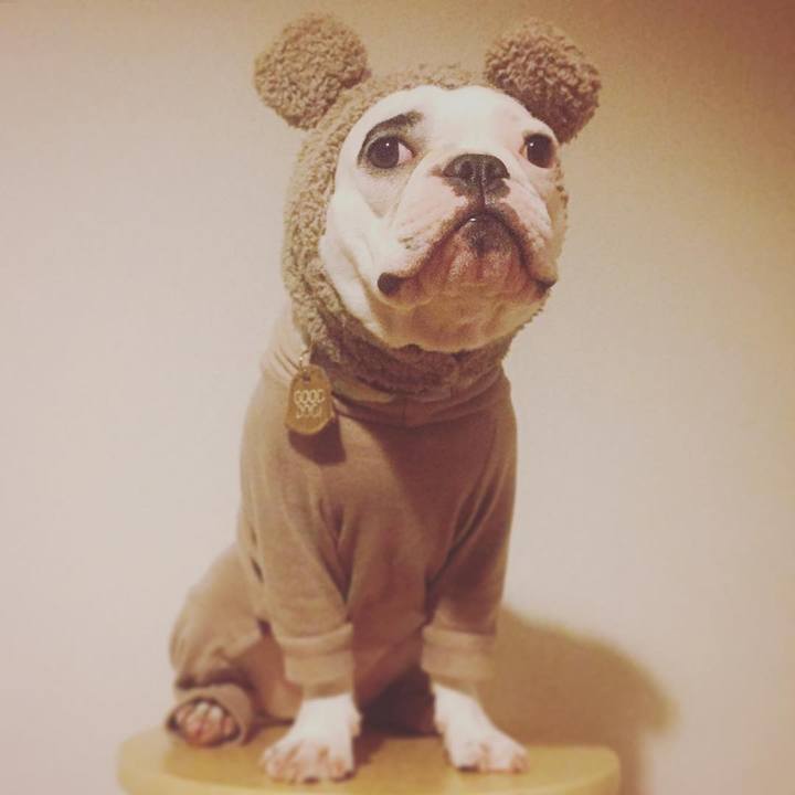 C79874bf 449b 428c 9c70 4d1c00c13d34