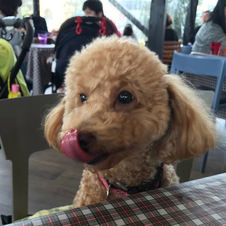 C799ade8 b80a 476c 827b 92bc97b6ea2d