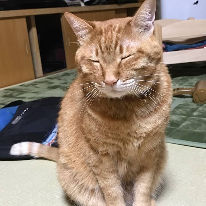 C79a6bf7 3ccb 4ebf 856e 6b093f815dc8