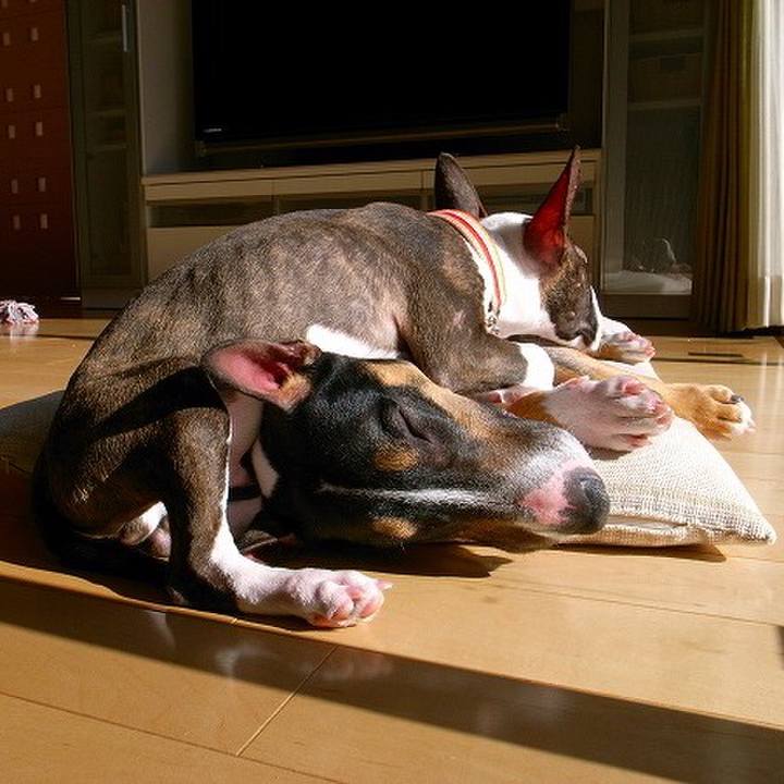 C79acba4 b2bc 4f6b a7e2 632d5b8f7bab