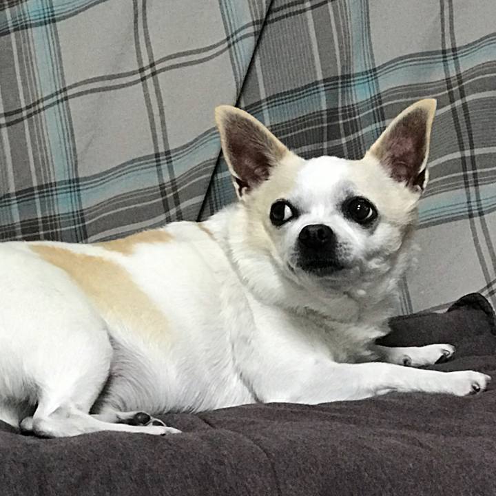 C79b9685 5c24 4921 802c 7b85382a0a36