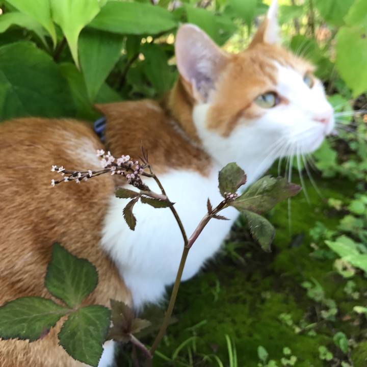 C79bd254 c2d3 43f3 983c 327aaaf97925