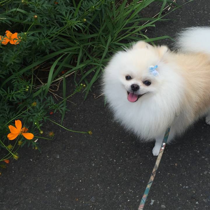 C79c449b 7b15 4059 9851 12eef249de09