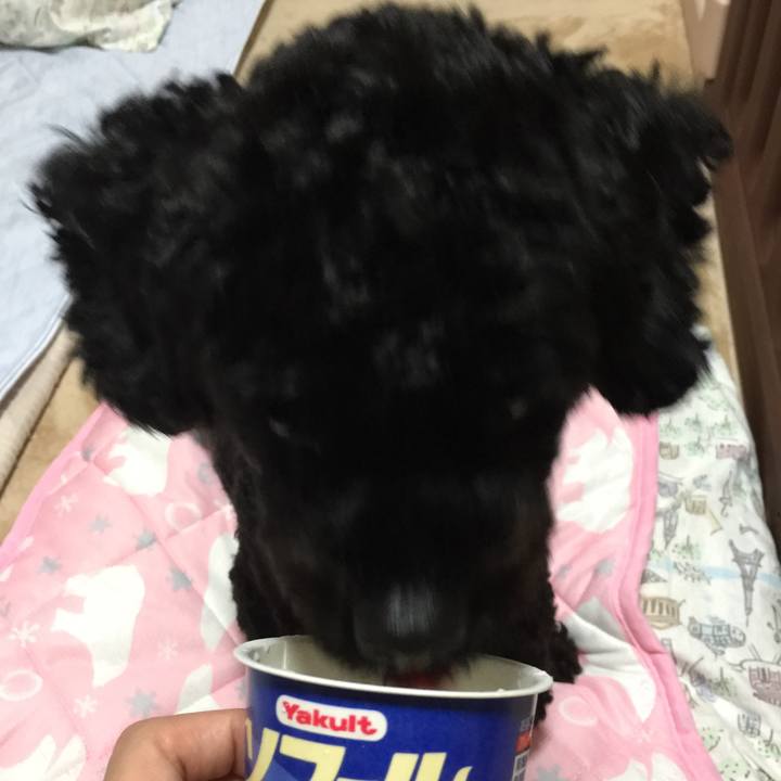 C79c9b12 0334 4106 aefa 5f3f4976a0c4