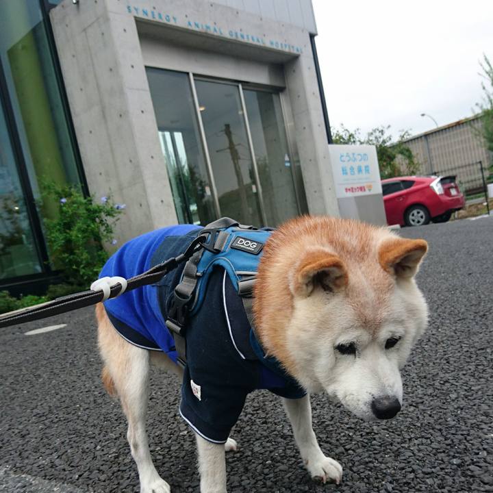 C79cc235 1cb8 48b8 bcb1 085d4f27cac2