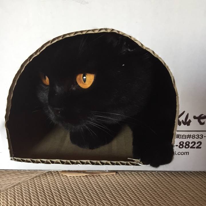 C79d0459 d7e2 4b4e a87f 269db323543c