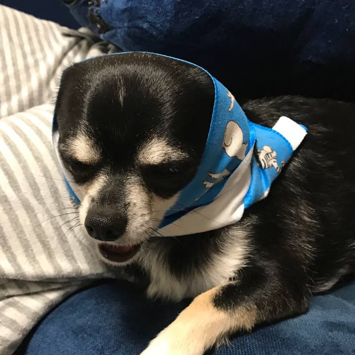 C79d4c80 7f26 40d9 9630 43e1af5dcde4