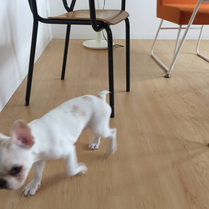 C79d523b 2004 4cd8 8851 54e61d738cba