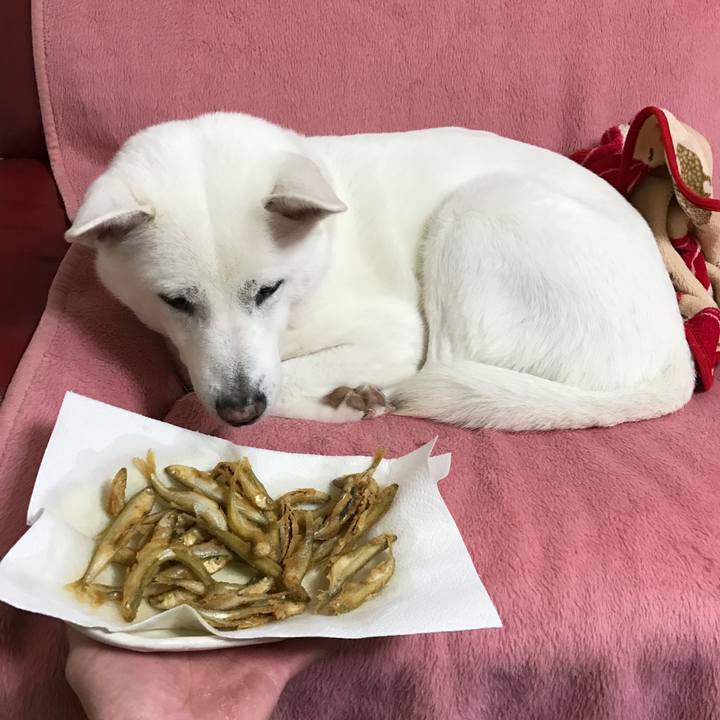 C79db417 e93a 4009 82a2 767f4996ac97