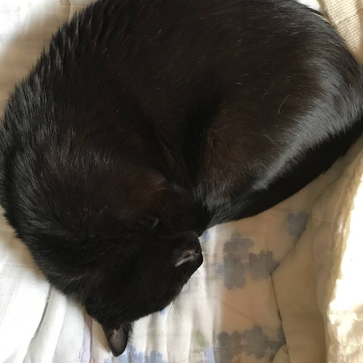 C79e771b f06a 4abd 991b ca17eac310fe