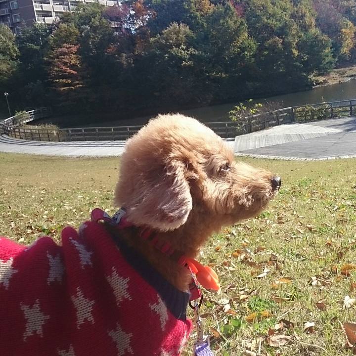 C79e9ed5 8bfb 4ceb b151 1a1bf7c18a68