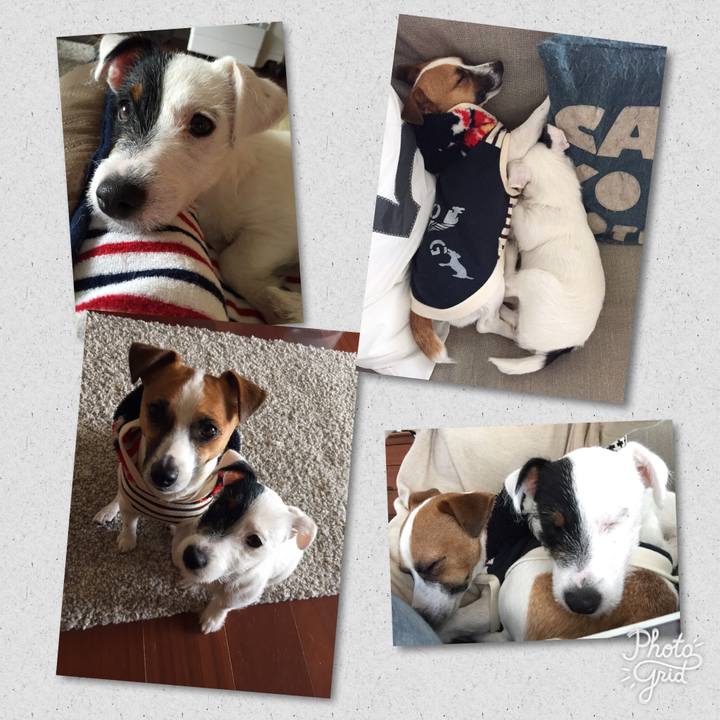 C79ed847 bcb2 4144 9251 976b78d0055c