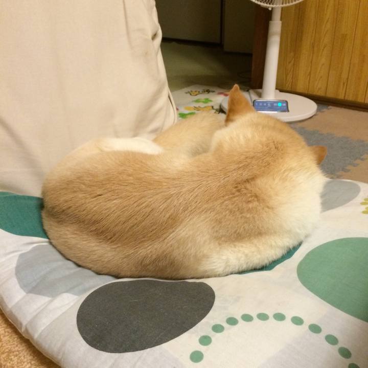 C79edc41 12f6 4c64 bb7e 7753ddd01c56