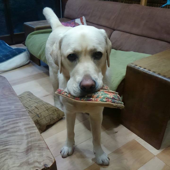 C79f1b66 535a 4196 9348 92fc69ab8443