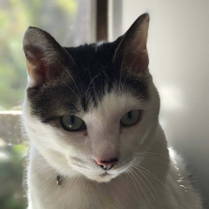 C7a09a7f a906 4e77 820a 8f775f21f509