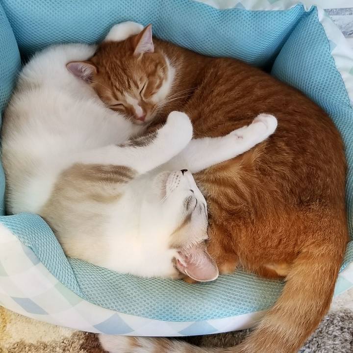 C7a163b8 881d 4e66 89bb f1ce05bd6145