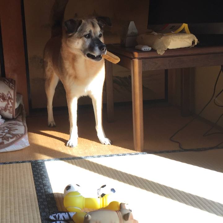 C7a22468 1628 4794 bb00 44e7bdc128fe