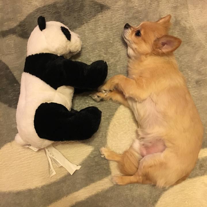 C7a2caeb 10e0 4031 a88e 2e3ce55c1b96