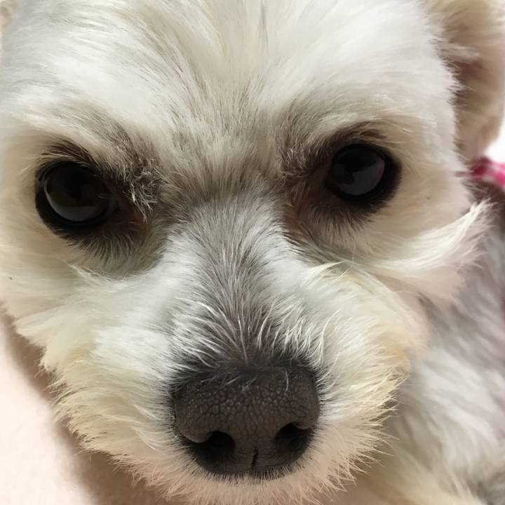 C7a2fafd 3eef 470b 8d56 3ca6db5f1d56